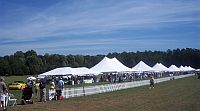 Cadillac Cup Polo