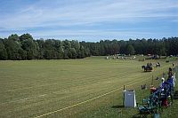 Cadillac Cup Polo