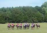 Cadillac Cup Polo