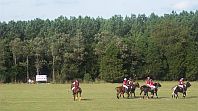 Cadillac Cup Polo