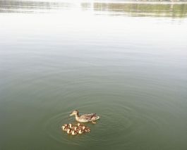 Smith Mountain Lake 2011
